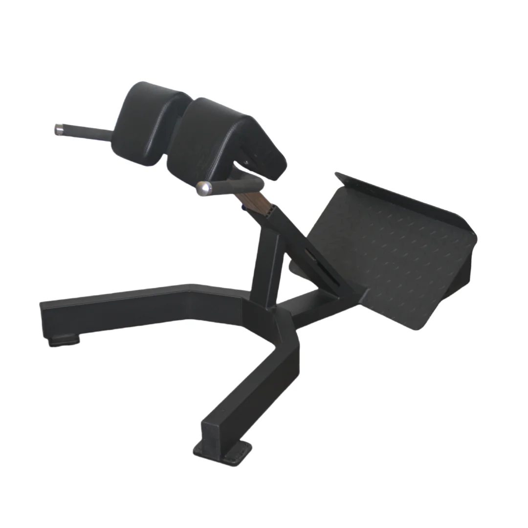 Home Gym Price - Panca Romana per Estensioni Schiena a