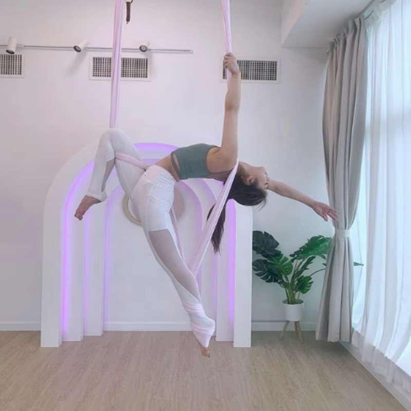 Trapezio Aereo Professionale N - Yoga Trapeze Swing recensione e prezzo