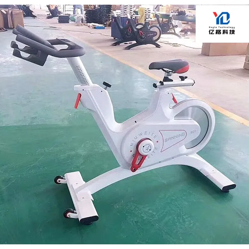 YG-S005 YG Fitness Cyclette Co - Home Gym Equipments recensione e prezzo